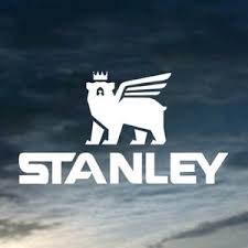 Stay Hydrated in Style: The Eco-Friendly Stanley IceFlow Tumbler