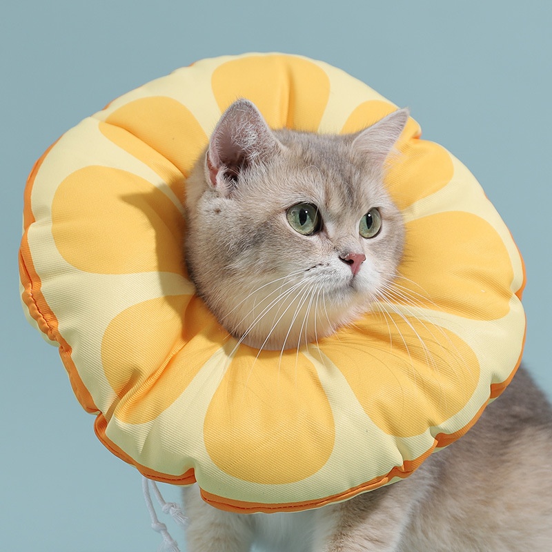 Cat Elizabethan Collar Kitten Anti-licking And Biting Shame Collar Headgear Dog Collar Sterilization Collar Pet Accessories
