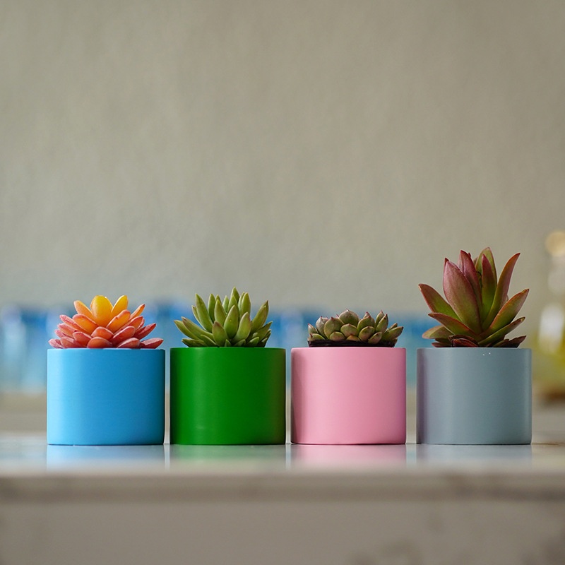 Simple Home Gardening Supplies Decorative Succulent Flower Pot