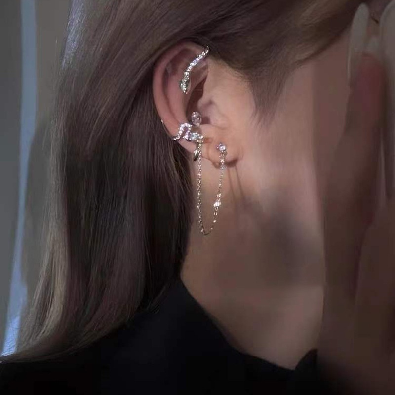 Light Luxury Style Korean Fashion Exaggerated Snake-shaped Silver Needle Earrings Girls Single Ear Hanging Design Foreign Trade