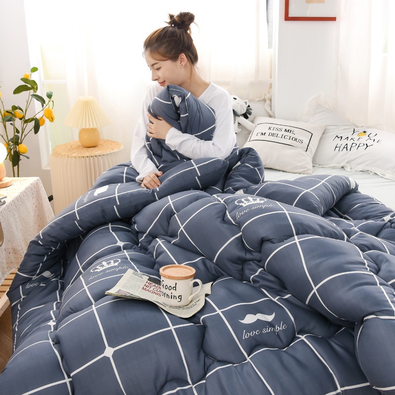Winter Quilt Spring And Autumn Quilt Dormitory Single Quilt Core