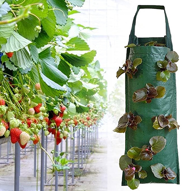 Overseas Vertical Strawberry Planting Bag PEVertical Hanging Three-dimensional Plant Bag Seedling Bag Multi-mouth Strawberry Bag