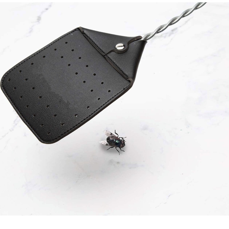 PULeather Fly Swatter Household Iron Stick Mosquito Swatter Home Outdoor Extended Durable Fly Swatter Mosquito Swatter