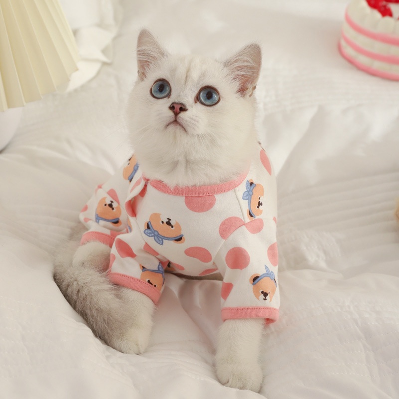 Cat Clothes Winter Pet Cat Silver Gradient British Shorthair Kitten Four-legged Autumn And Winter Anti-hair Loss Kitten Weaning Clothes Winter