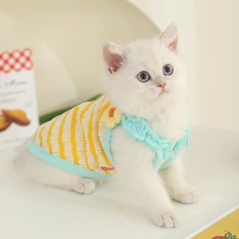Cat Clothes Summer Anti-hair Loss Ragdoll Cat Spring And Autumn Kitten Summer Sling Kitten Pet Thin Cat Vest