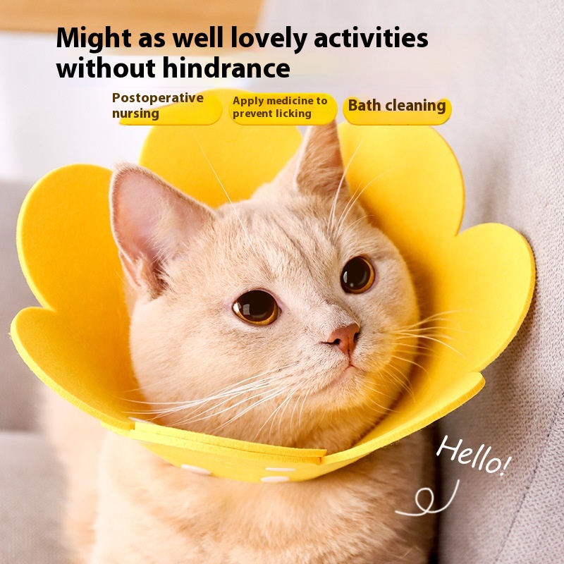 Elizabethan Collar Cat Sterilization Collar Cat Head Cover Anti-bite Collar Elizabeth Collar Dog Collar Pet Supplies