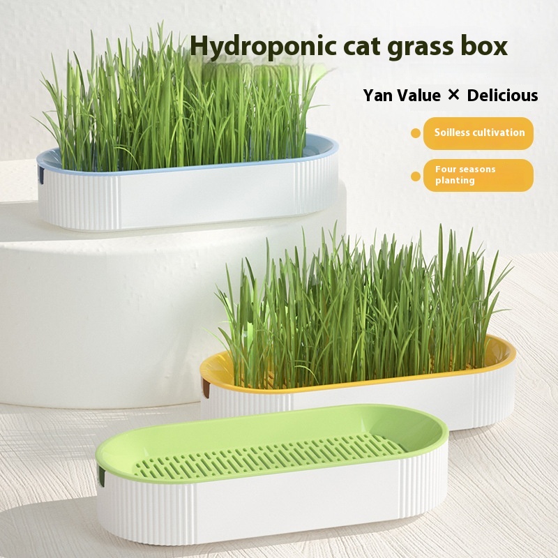 Hydroponic Cat Grass Box Cat Snack Catnip Hydroponic Soilless Planting Cat Grass Pot Set Cat Grass Box