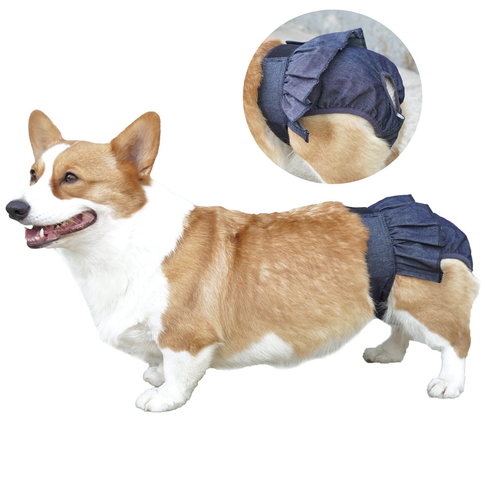 Pet It Corgi Teddy Pet Bitch Physiological Pants Anti-harassment Dog Aunt Pants Denim Ruffle Bitch Underwear