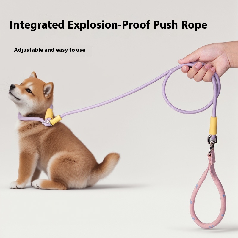 Pet Traction Rope Without Hand Elastic Safety Rope Dog Traction Belt Dog Chain Anti-break Free Pet Supplies