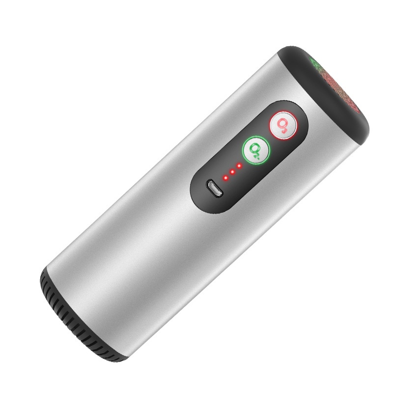 Small Portable Handheld Wireless Built-in Battery Negative Ion Purifier Home Car Ozone Disinfector