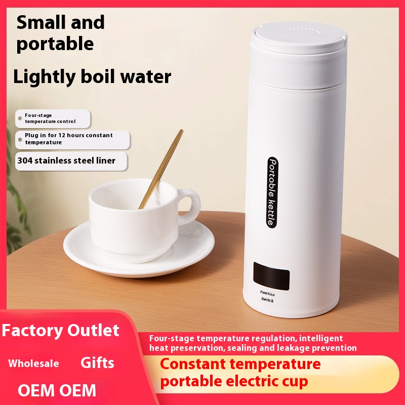 Portable Kettle Electric Heated Water Cup Travel Small Mini Electric Kettle Dormitory Student Home Water Cup