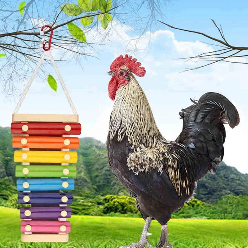 Parrot Toys Pet Chicken Toys Percussion Toys Sound Toys Cock Ding Ding Sound To Relieve Boredom Bird Toys