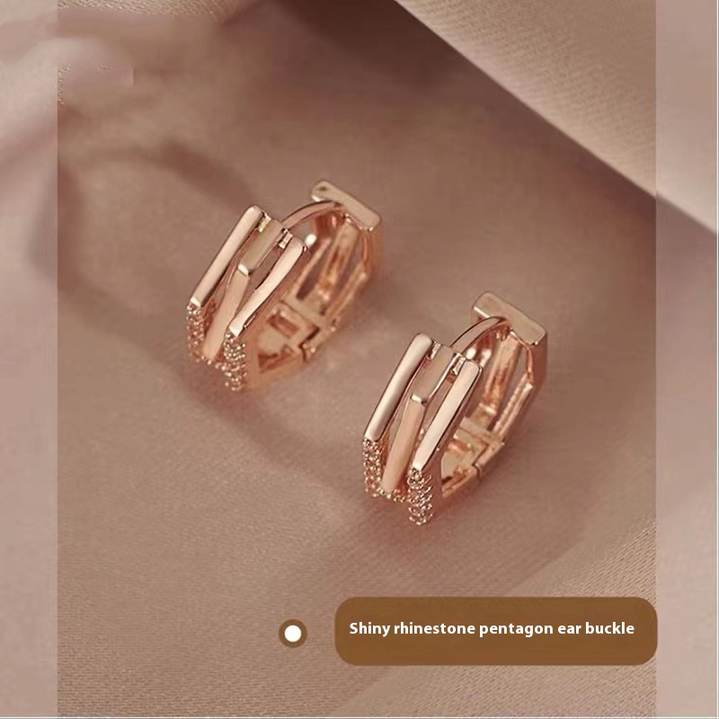 Hot-selling Earrings For Women Style Korean Temperament Internet Celebrity Earrings High-end Earrings Autumn And Winter Earrings - 1