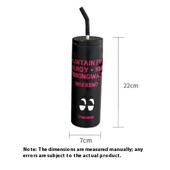 Foreign Trade High Color Value Dopamine Stainless Steel Cup Simple Portable Straw Thermos Cup Printable Cup