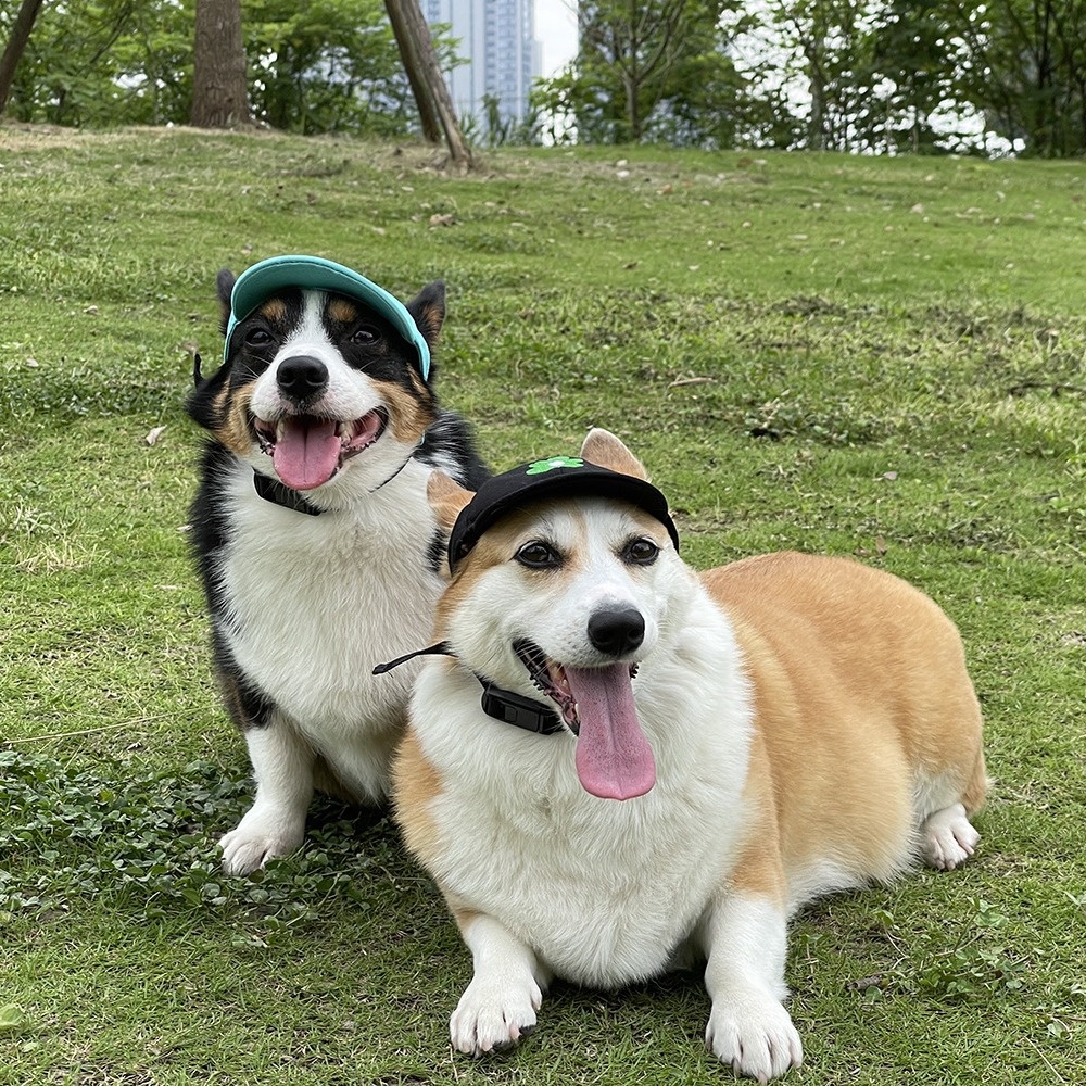 Pet Baseball Cap Dog Cat Sun Hat Style Korean Version Flower Embroideryy Brand Large And Small Dog Full Size
