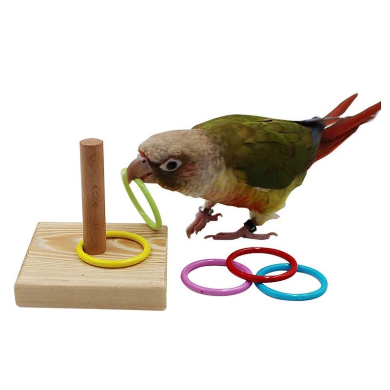 Parrot Educational Training Toys Ring Parrot Toys Bird Supplies Equipment Educational Training Ring Bird Toys