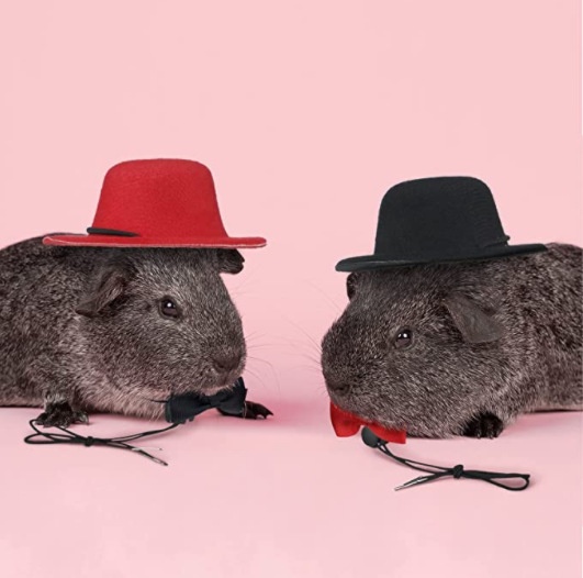 Pet Top Hat Hamster Magician Hat Pet Transformation Dress Up