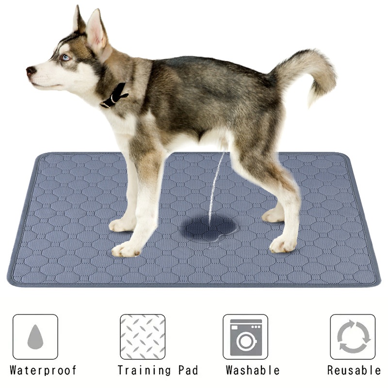 Hot-selling Pet Washable Urine Pad For Training Dogs,Water-absorbing Urine Pad,Four-layer Waterproof Diapers,Cat Urine