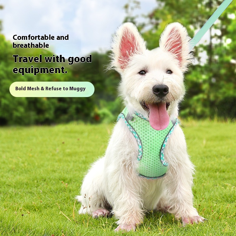 Pet Traction Rope For Cats And Dogs,Vest-style Cat Walking Rope,Dog Leash,Small And Medium-sized Dogs