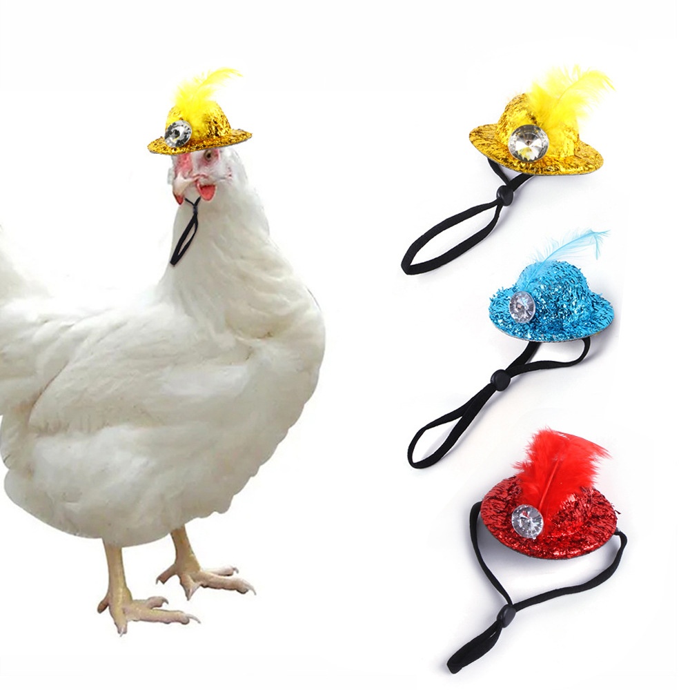 SProducts Pet Chicken Costume Hat Chicken Duck Goose Bird Costume Holiday Hat Birthday Costume Supplies