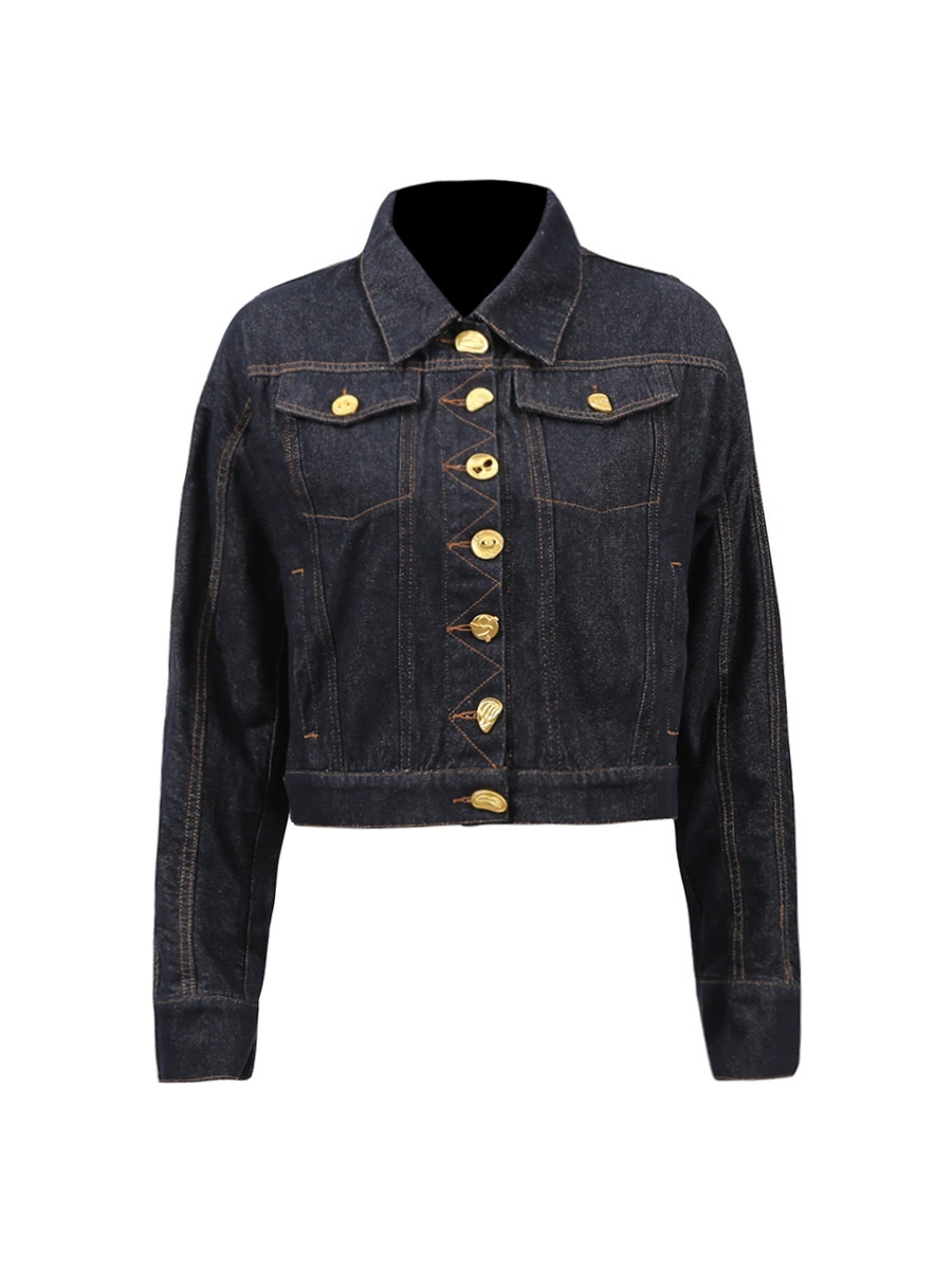 Niche Design Denim Jacket Long-Sleeved Single-Breasted Line Design High-End Short Denim Jacket