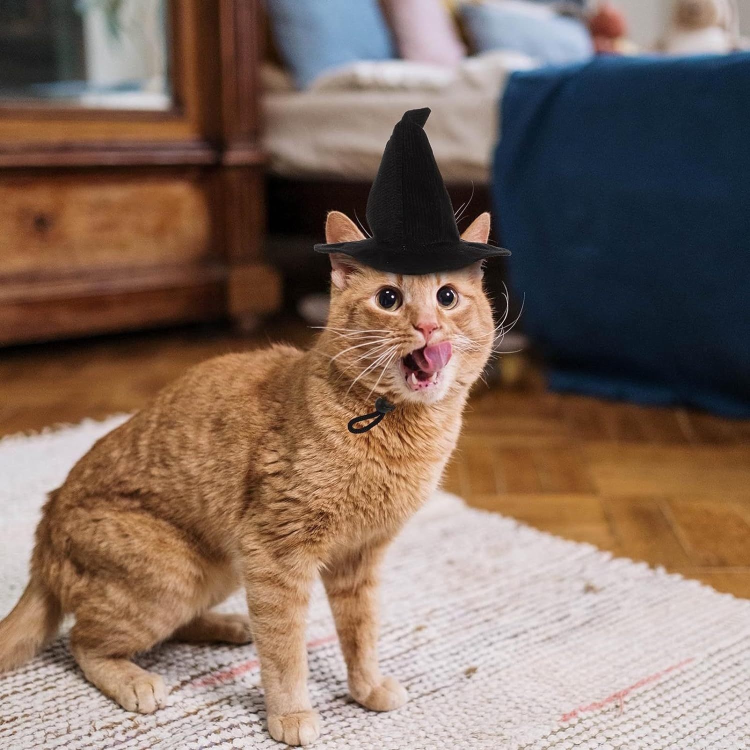 Halloween Pet Hat Witch Cat And Dog Headdress Pet Festival Costume Pet Headdress Decoration Small Cat And Dog