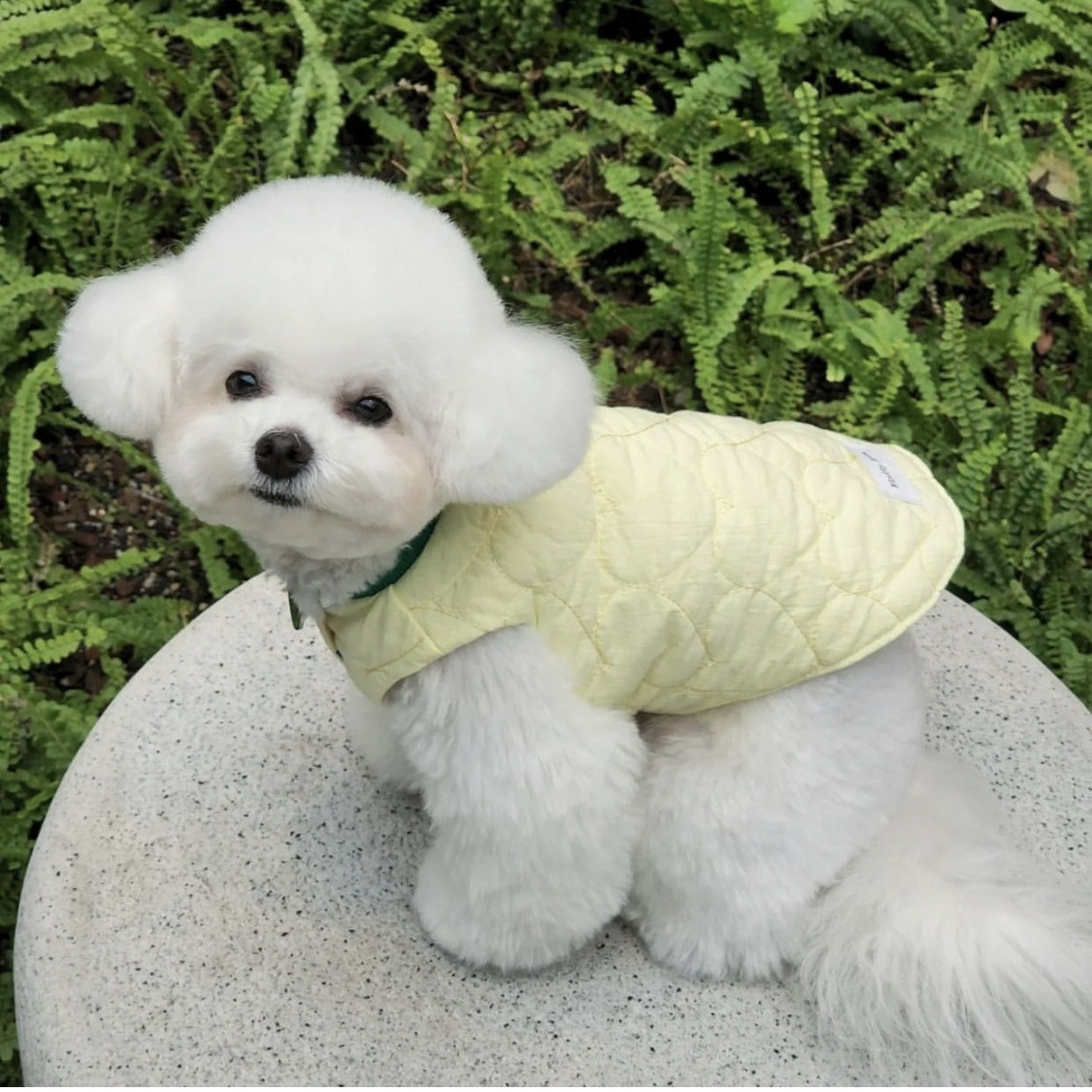 Pet Dog Jacket Korean Version Of The Printed Quilted Cotton Warm Double-sided Cotton Clothes Vest Vest