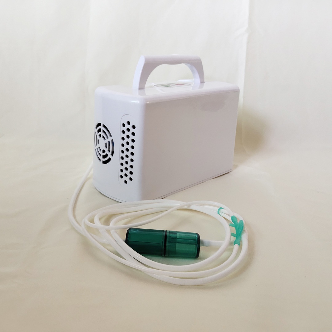 Outdoor Backup Small Oxygen Generator Portable Oxygen Aerator European Standard Car Air Purifier