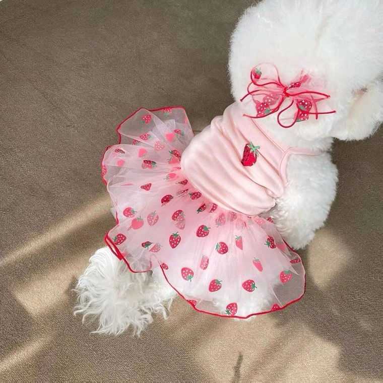 Summer Dog Clothes Cute Mesh Strawberry Suspender Skirt Cat Thin Dress Cat Pet Clothing