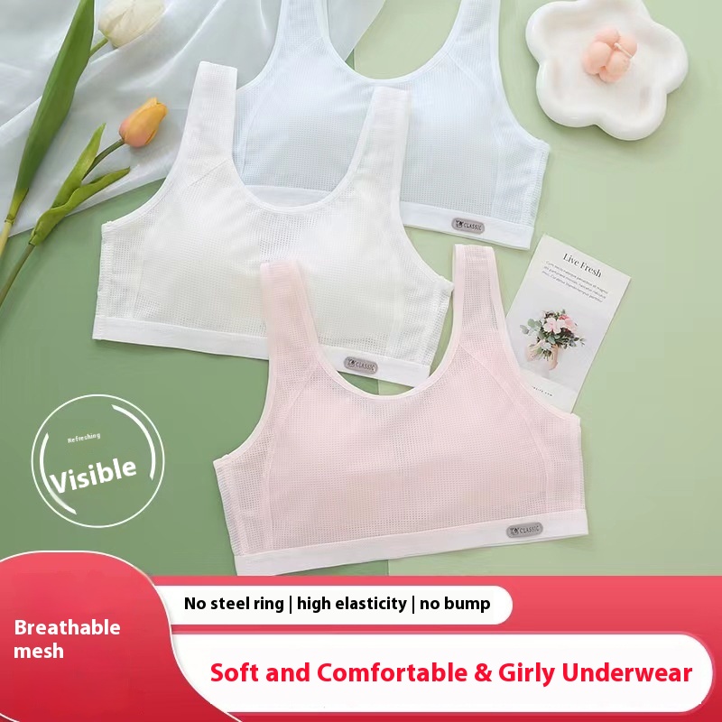 Thin Summer Girl Bra For Junior High School Students, Student Underwear, Girls And Children's Development Period Vest, Breathable And Comfortable