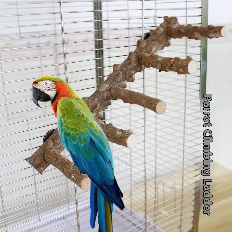 Parrot Supplies Bird Claw Grinding Stick Pepper Wood Standing Stick Bird Scrub Stick Pepper Wood Standing Stick Pepper Bird Toys