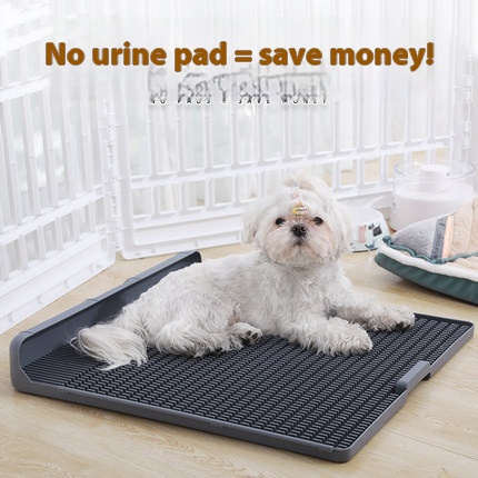 Dog Urination Artifact Urine Pot Special Corgi Bichon Dog Shit Tray Large Small Dog Large Dog Toilet