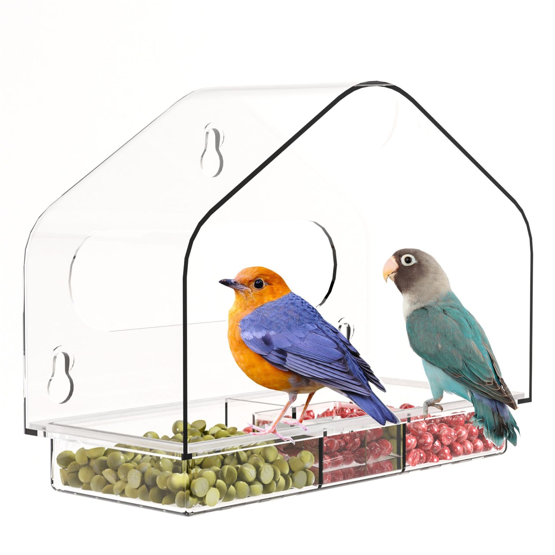 Transparent Acrylic Bird Cage Punch-free Suction Cup Bird Feeder Feeder Pet Supplies Wall-mounted Parrot Bird Cage