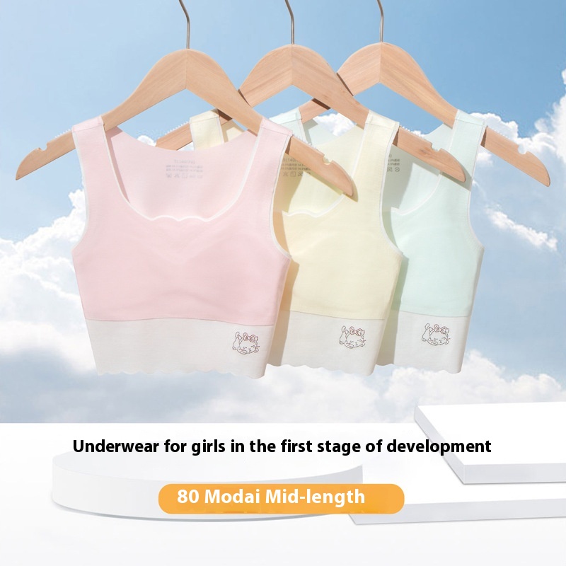 Girls' Underwear, Girls' Development Period Bra, Seamless Modal Breathable And Comfortable Student Anti-bump Vest