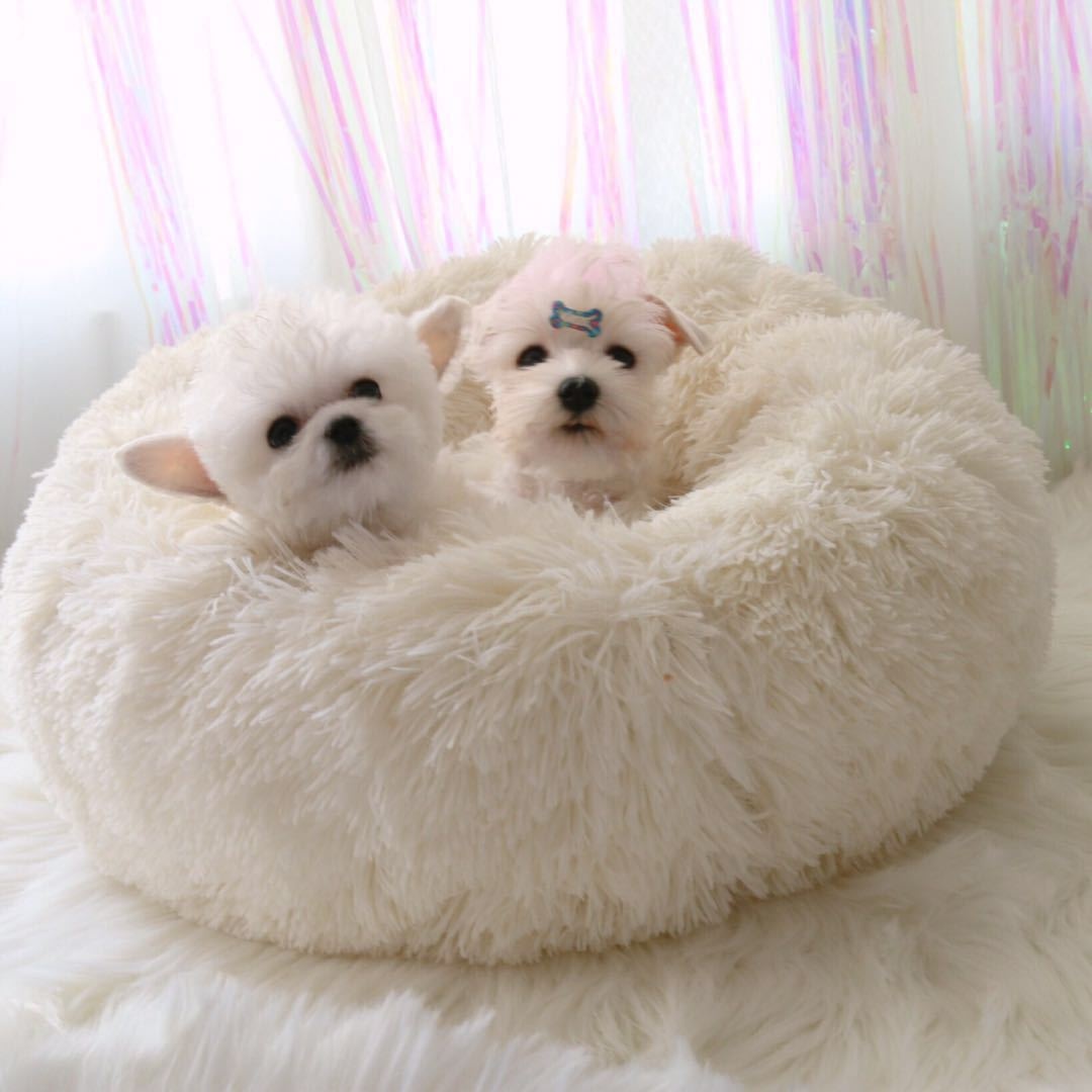 Pet Bed Mat Teddy Winter Warm Plush Small And Medium-sized Round Dog Bed Cat Bed