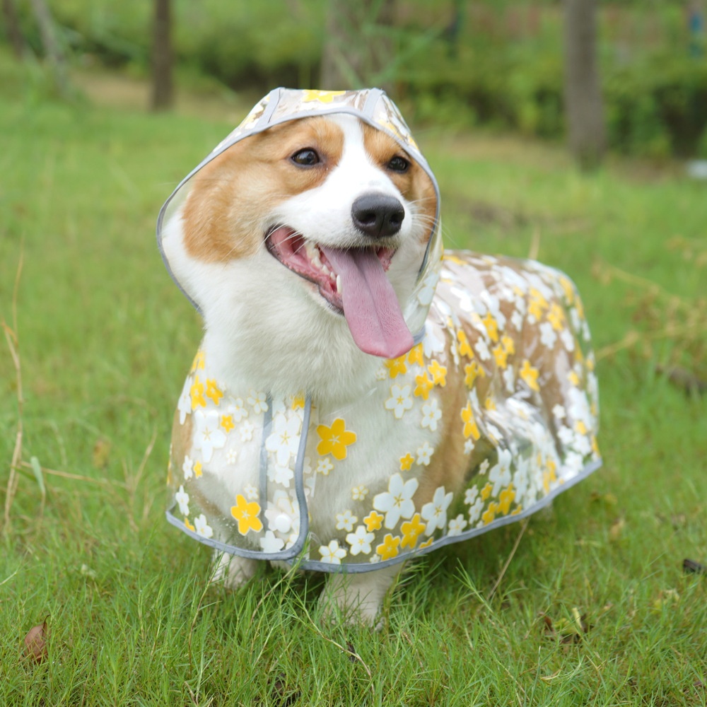 Dog Rain Coats Rain Clothes Dog Cape Raincoat Corgi Medium-sized Dog Universal Pet Clothes Doberman Samoyed Golden Retriever
