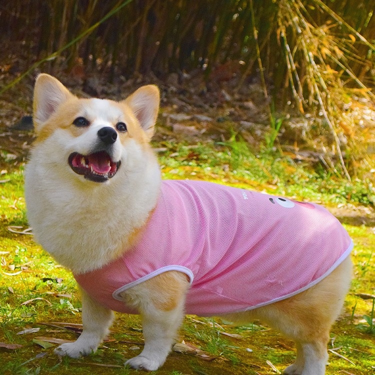 Bichon Teddy Corgi Shiba Inu Dog Clothes Thin Vest To Prevent Hair Loss And Dirt When Going Out