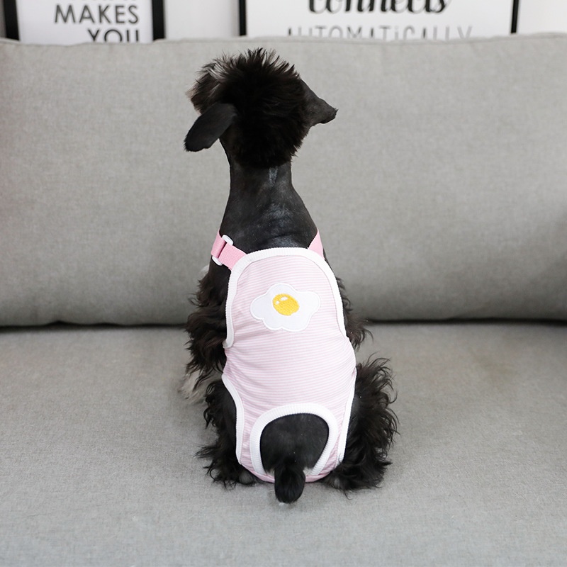 Dog Physiological Puppy Waterproof Sanitary Napkin Aunt Napkin French Bulldog Corgi Teddy Pet Carrier Urine Pad Physiological Pants