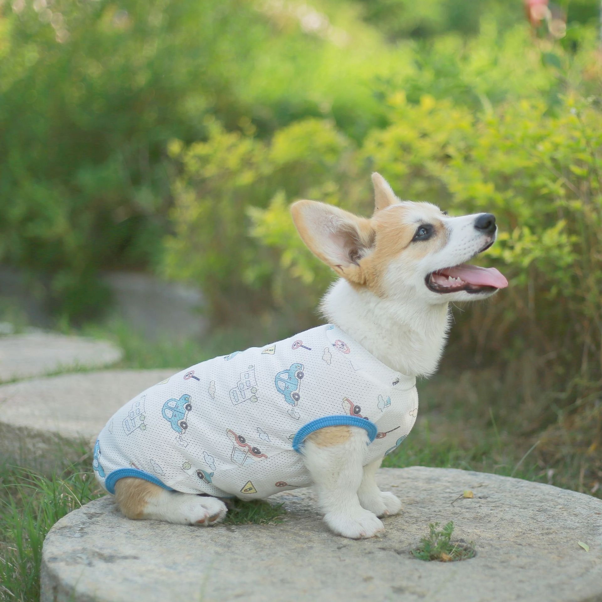 Dog Vest Summer Thin Four-legged Vest Pet Corgi Anti-hair Loss Bichon Breathable Pajamas Sunscreen Home Clothes