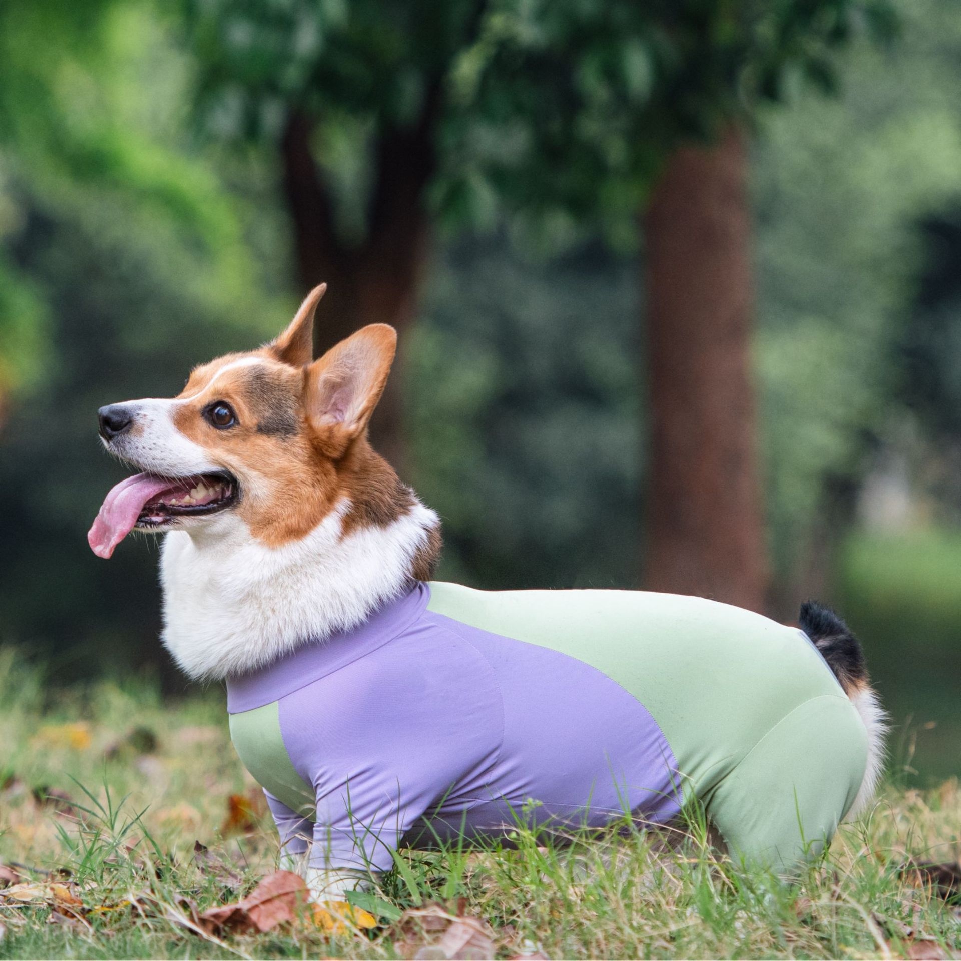 Dog Spring And Summer Four-legged Clothes Cool Sunscreen High Elastic Clothes Outdoor Anti-fouling Anti-ect Car Anti-hair Loss Corgi