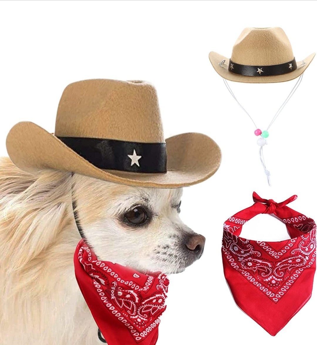 Classic Dog Western Cowboy Hat Mini Toy Hat Puppy Pet Dog Cat Pet Pie Direct