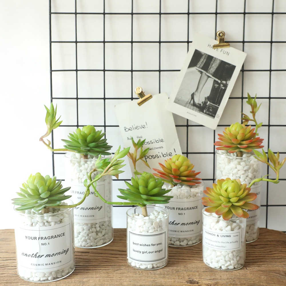 Simulation Flower Water Lily Succulent Plant With Flower Home Decoration Wedding Flower Wall Plant Wall Artificial Flower MW17693