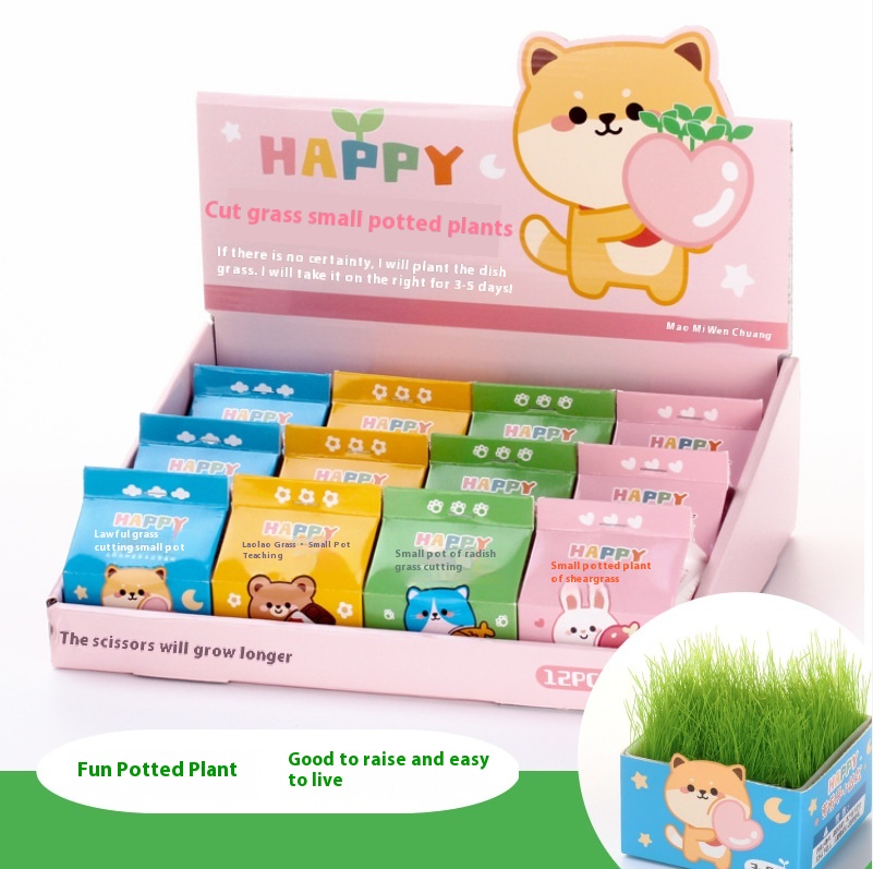 Children's DIYGreen Plant Cutting Grass Green Plant Small Potted Hydroponic Bonsai Desktop Mini Planting Student Small Grass Potted