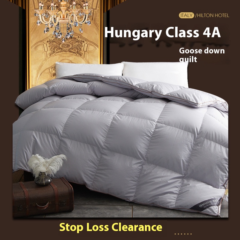 Italy Hilton&Resorts Hotel Down Quilt95 White Goose Down Spring Autumn Winter Quilt Core Mother Quilt Two-in-One