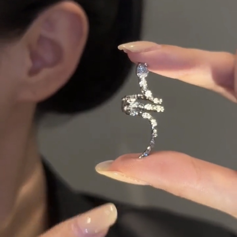 Sweet And Cool Exquisite Snake-shaped Ear Bone Clip High-end Cool Style Personality Non-pierced Ear Clip Female Temperament Versatile Earrings