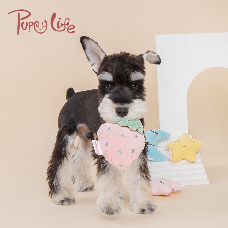 Plush Squeaky Chew Toy For Dogs,Fruit And Star Design,Dental Care Toy For Small And Medium-Sized Dogs