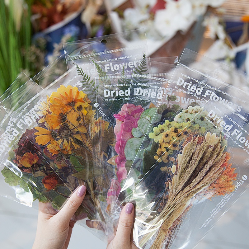 Stranger PETNotebook Stickers Weekend Flower Shop Series Retro Plant Material Stickers Collage Decoration6 Pieces8 Styles