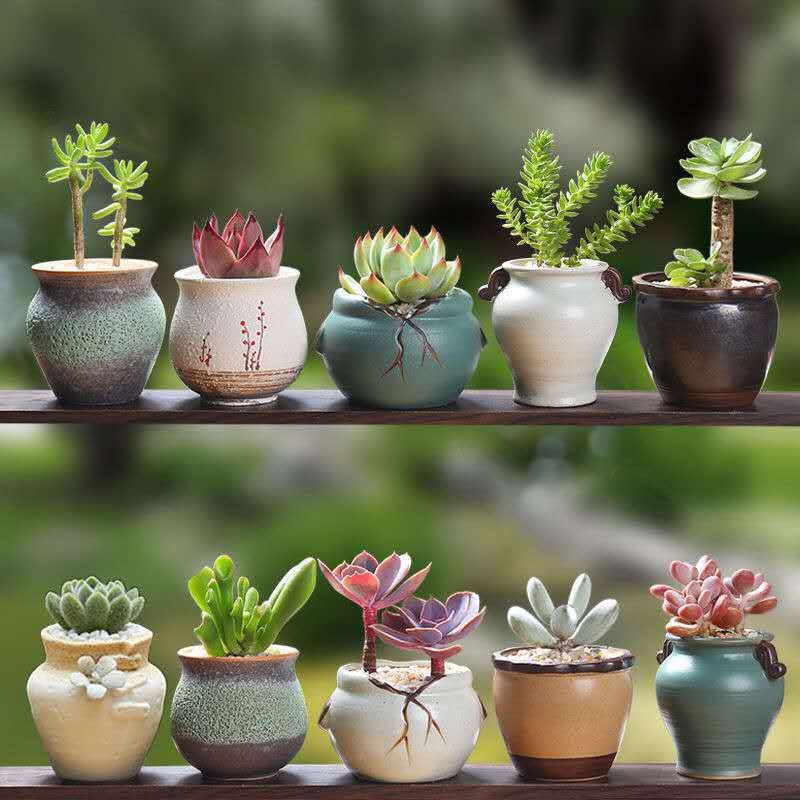 Succulent Flower Pots Ceramic Gardening Ceramics Mini Products Creative Stoare Retro Home Products Porcelain Jars Pots