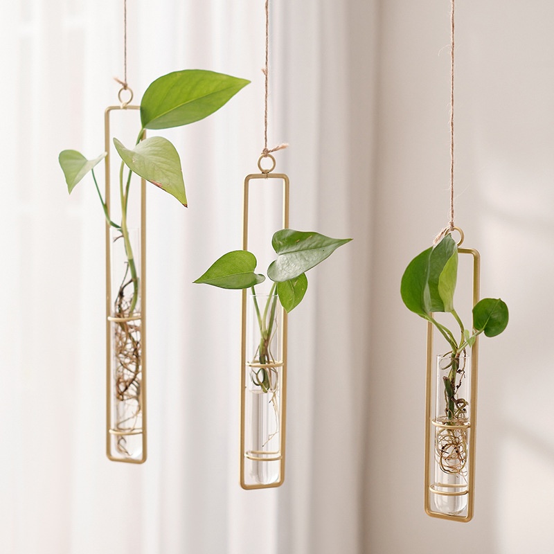 European Style Decorative Wall Hanging Living Room Creative Glass Vase Green Radish Plant Wall Hanging Water Container Wall Decoration