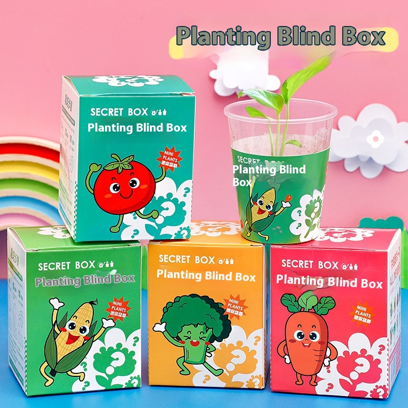 Kindergarten Planting Potted Blind Box Children's Plant Flower Seeds Small Gifts Creative Desktop Ornaments Small Potted